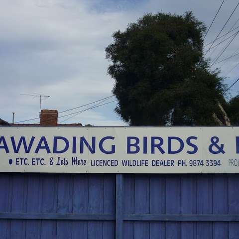 Photo: Nunawading Birds & Pets